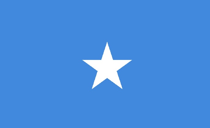 Somalia: Army Kills Seven Al-Shabaab Militants in Operation