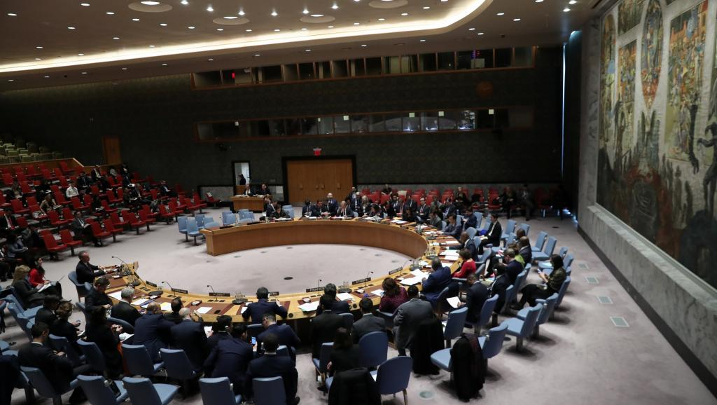 Le Conseil de sécurité de l’ONU condamne l’attaque contre des Casques bleus au Mali
