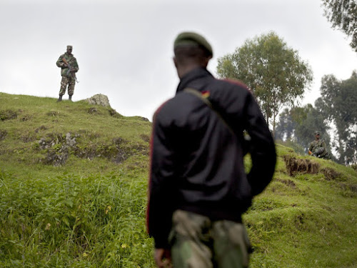 RDC : les FARDC disent avoir renforcé la coopération avec les armées de la sous-région pour enrayer les groupes armés