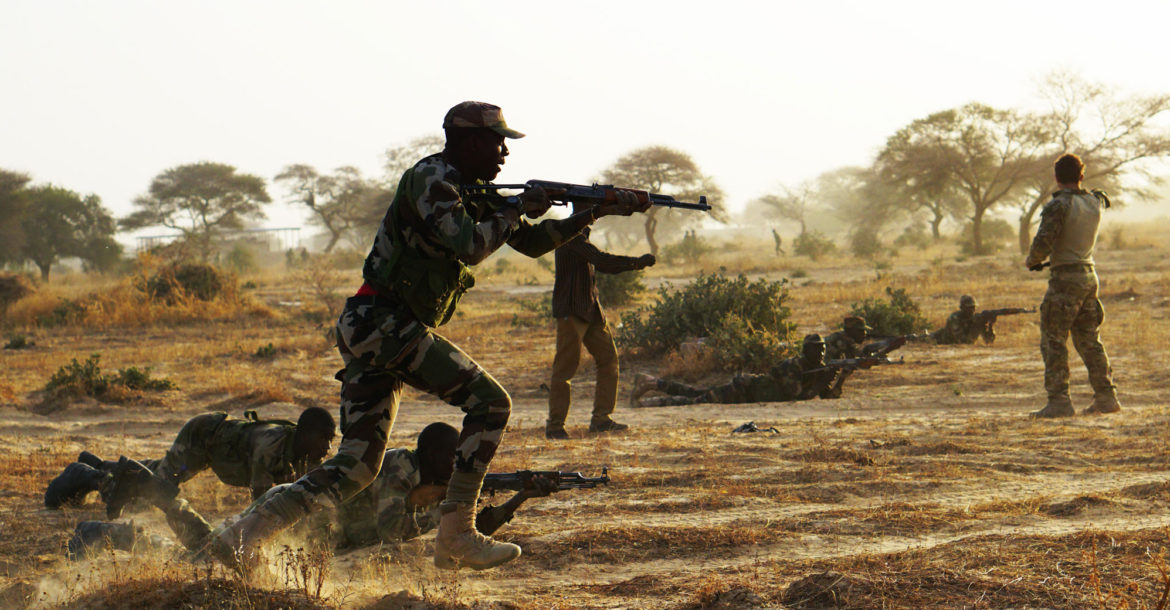 Niger Army Killed 24 ‘Suspected Terrorists:’ Government