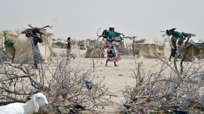 Au Niger, l’armée repousse une attaque de Boko Haram, trois assaillants tués