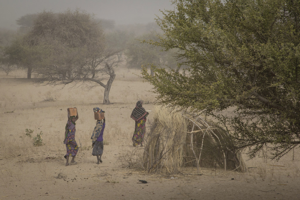 Tchad : 5,5 millions de personnes ont besoin d’aide humanitaire cette année (OCHA)