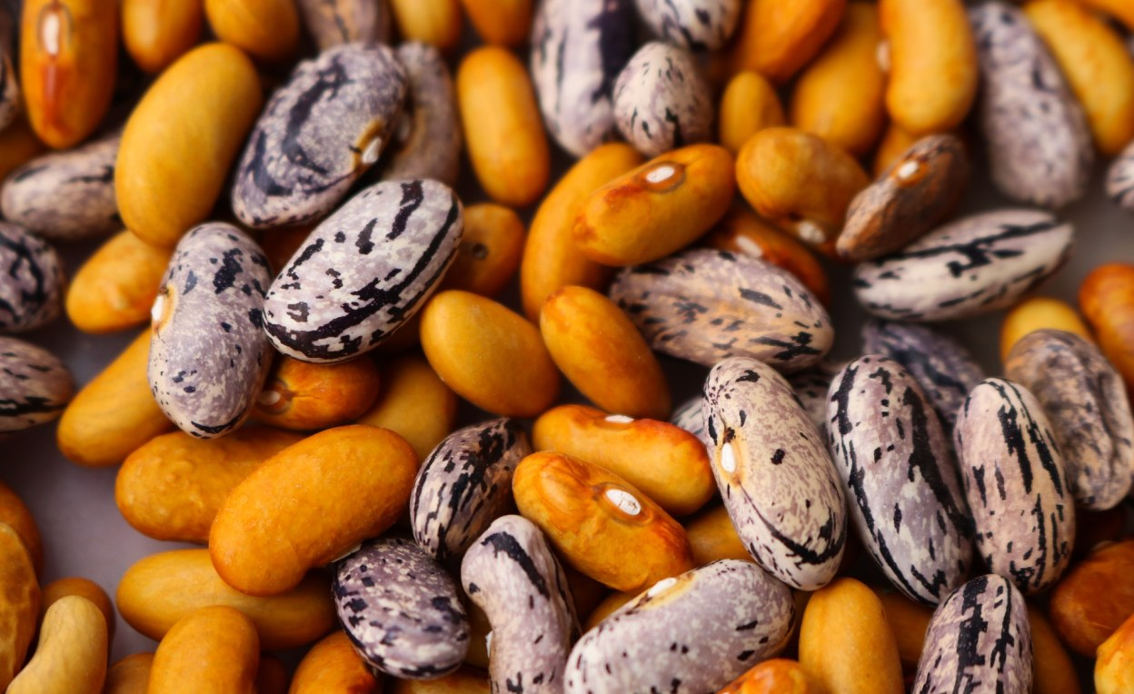 Mozambique: The Gatekeepers of Mozambique’s Community Seed Banks