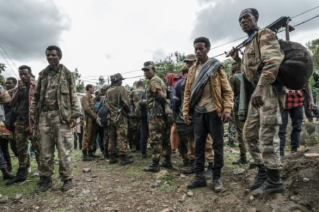 Ethiopie: trois régions vont envoyer des troupes au Tigré