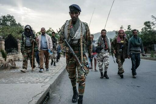Éthiopie: l’armée éthiopienne «hors de combat», selon des observateurs