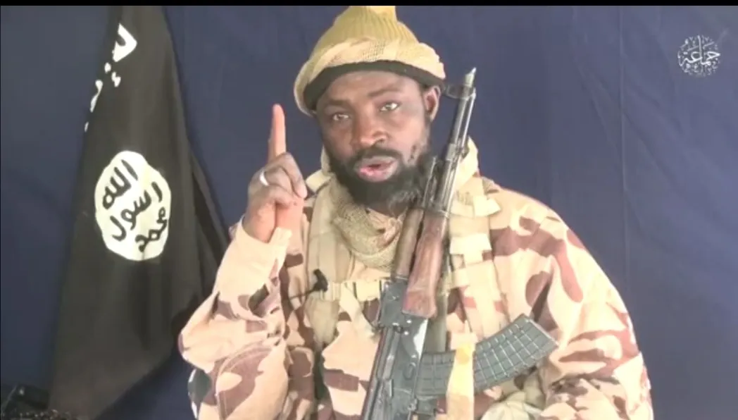 ANALYSIS: What recent surrender of Boko Haram members means for Nigeria’s fight against insurgency