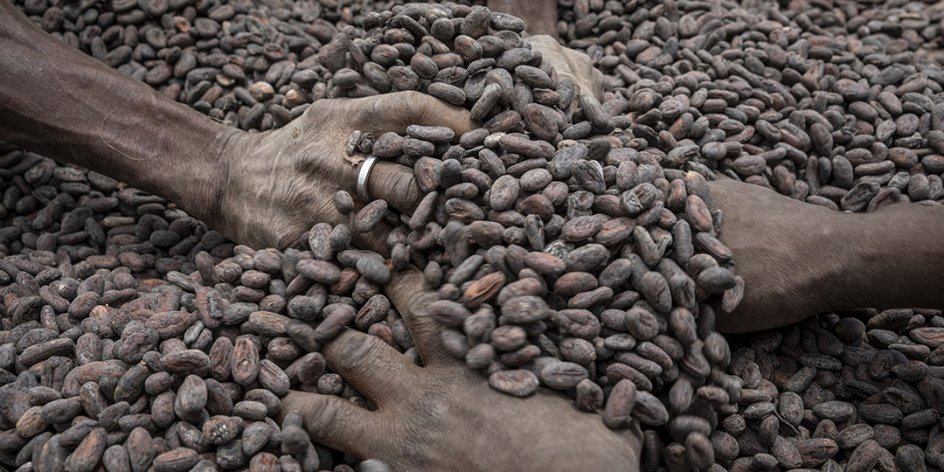 Riz, cacao, café, coton… L’Afrique de l’Ouest face à la flambée des cours
