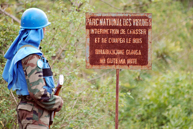 En RDC, trafics et exploitation illégale du parc des Virunga financeraient les groupes armés