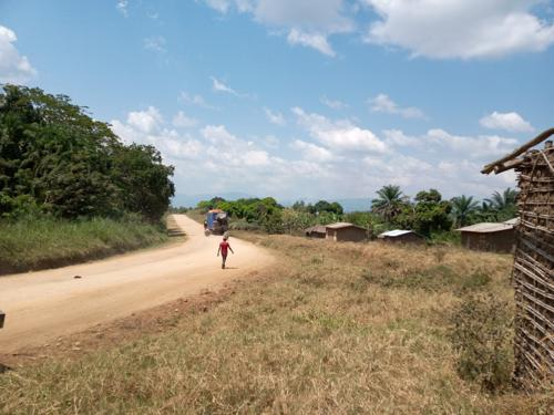 RDC: un formateur étranger des rebelles ADF arrêté à Beni (officiel)