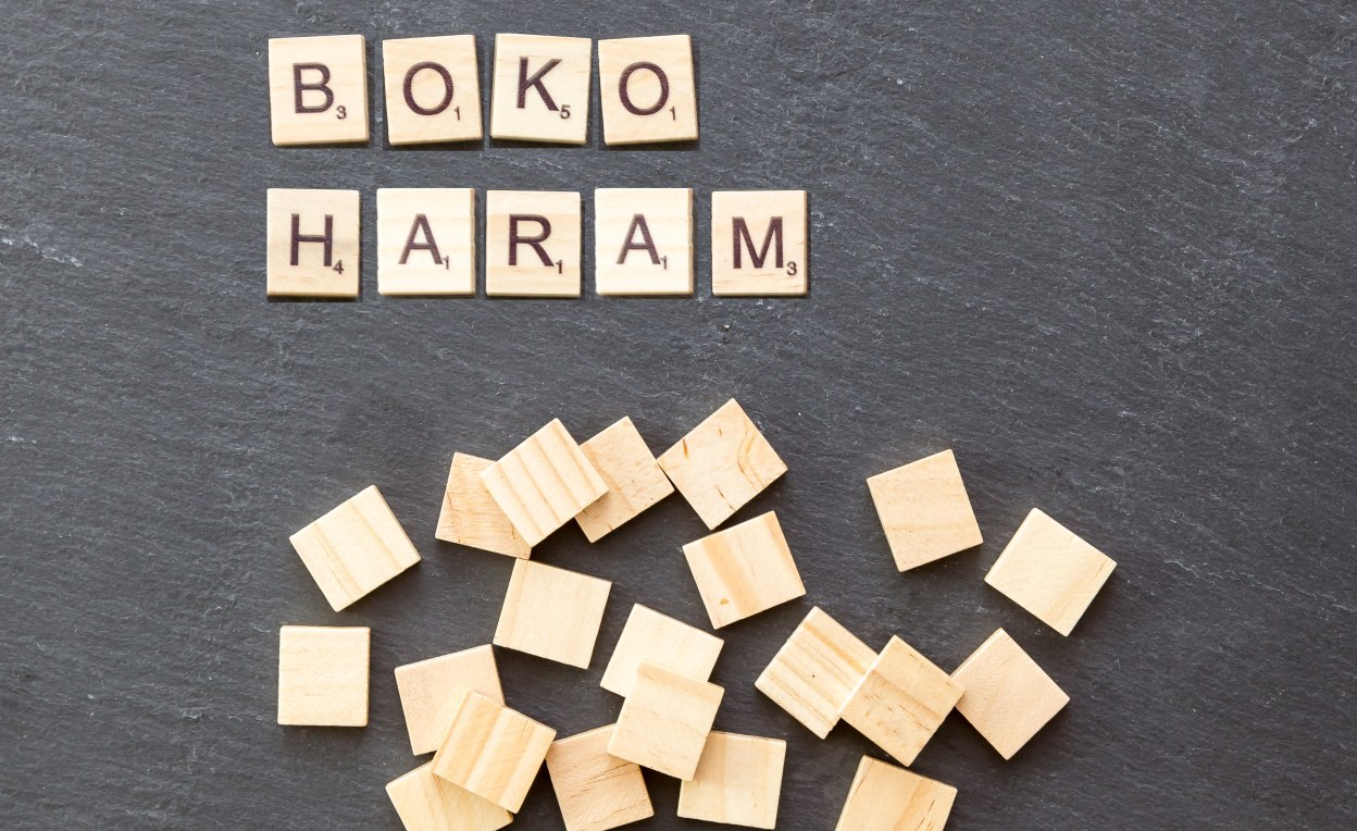Nigeria: Many Feared Killed, Hundreds Flee to Sambisa As Boko Haram Invades Borno LGA, Damboa
