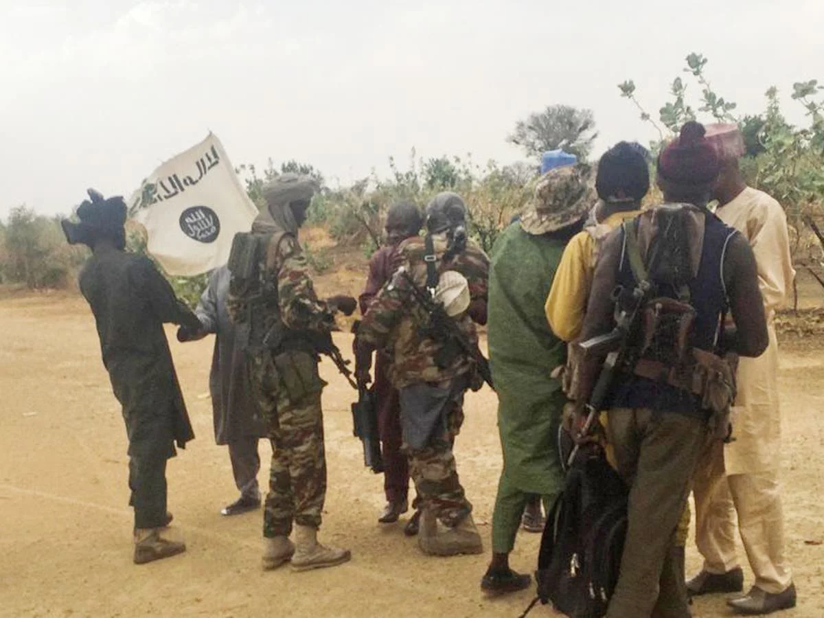 Boko Haram: Terrorists abduct travellers along Ngamdu in Borno