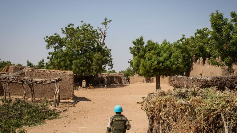 Sept Casques bleus tués par un engin explosif dans le centre du Mali