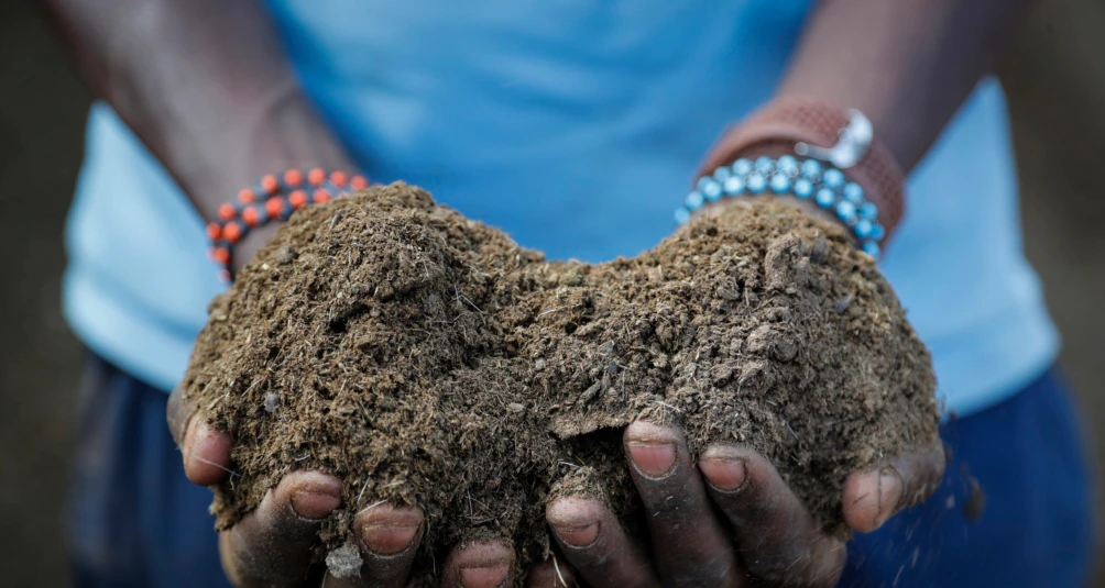 Russian War Worsens Fertilizer Crunch, Risking Food Supplies