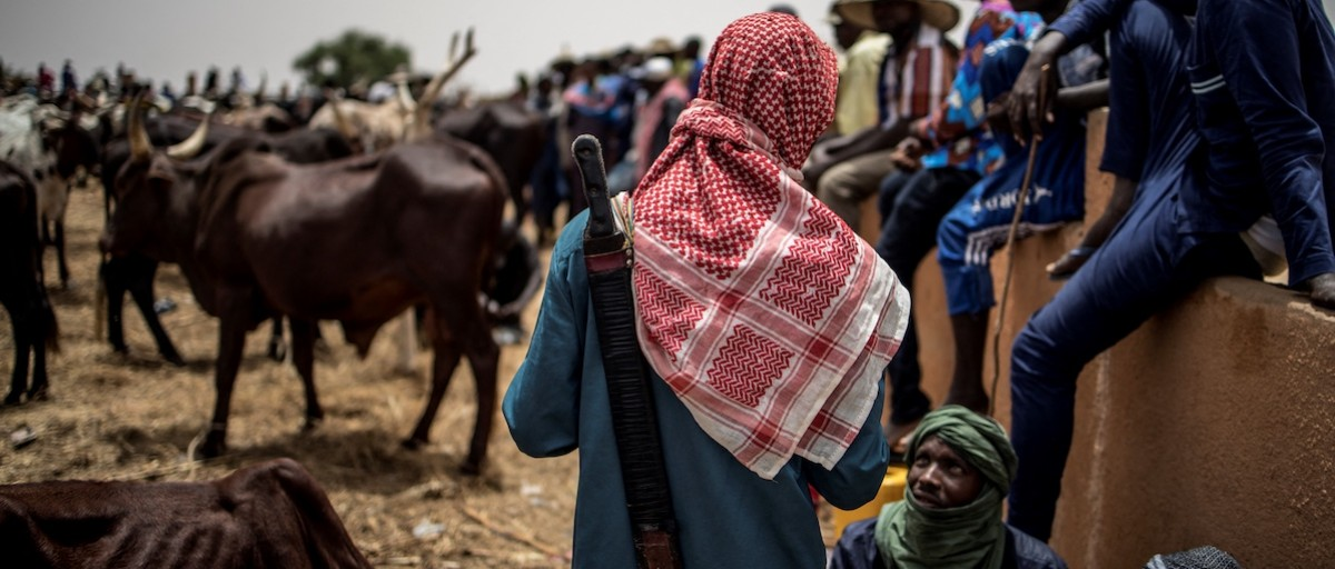 Organised banditry is destroying livelihoods in Niger’s borderlands