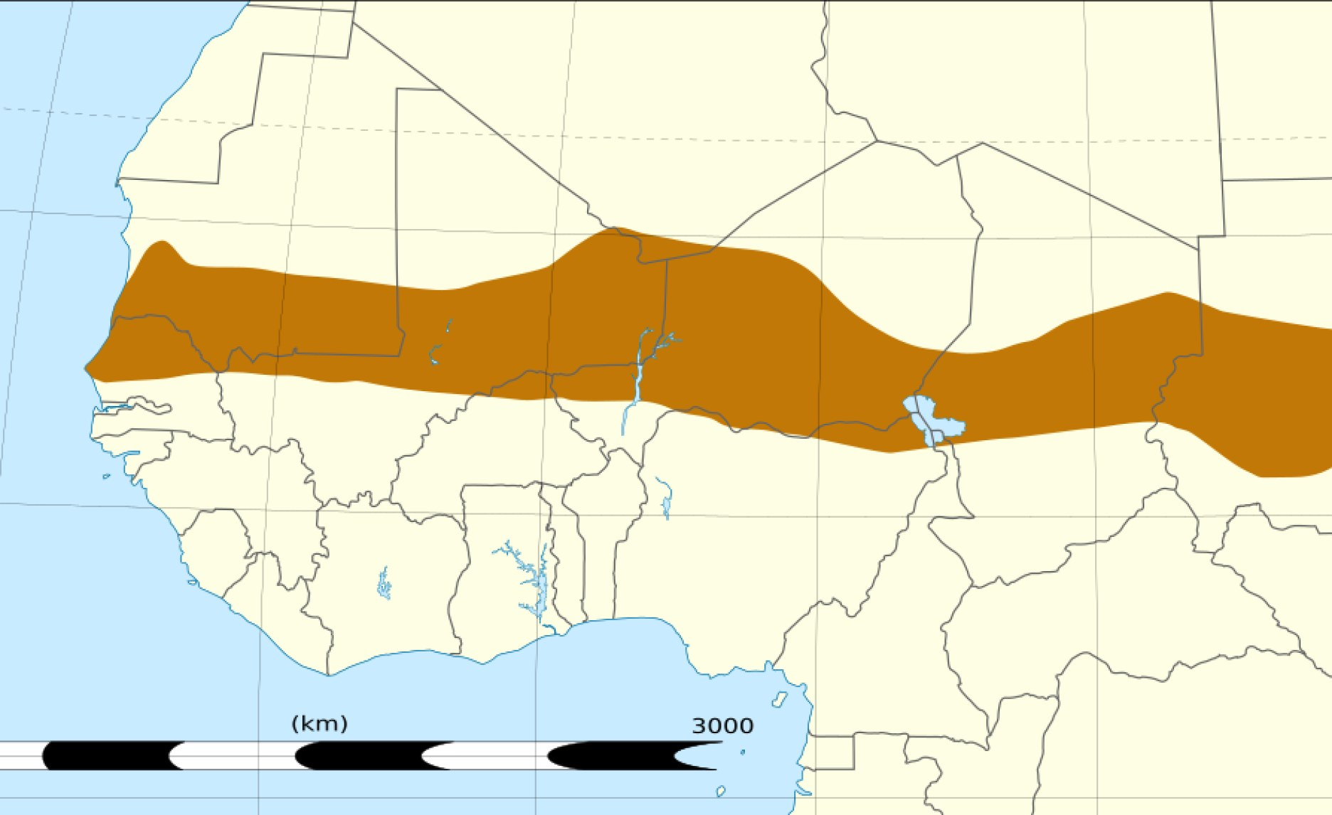 West Africa: Insecurity in the Sahel – What You Need to Know