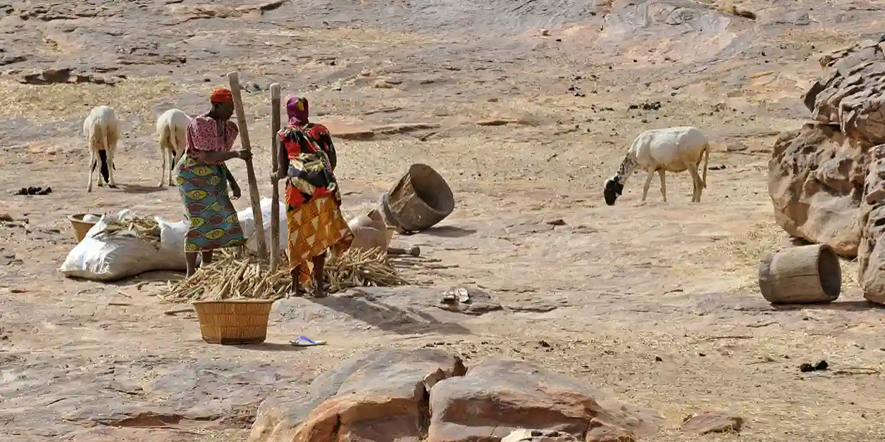 Mali : que s’est-il passé dans le cercle de Bankass, où plus de 130 civils ont été tués ?