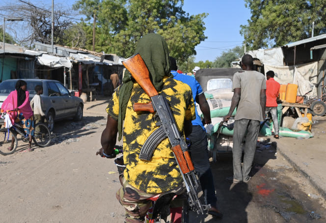 Dans le sud-est du Niger, le difficile retour des déplacés de Boko Haram
