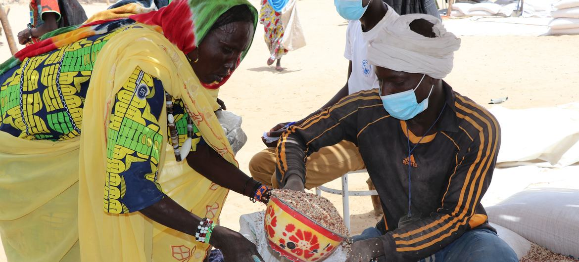Sahel : une grave insécurité alimentaire menace 12 millions de personnes (PAM)