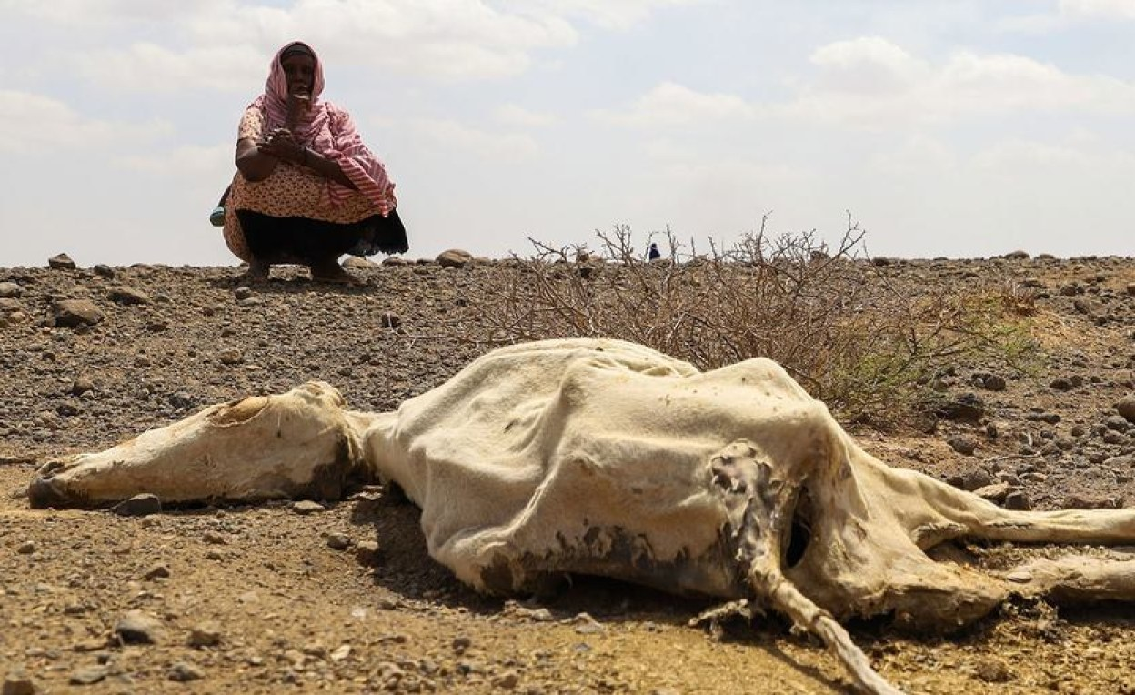 East Africa: Is Eastern Africa’s Drought the Worst in Recent History? And Are Worse Yet to Come?