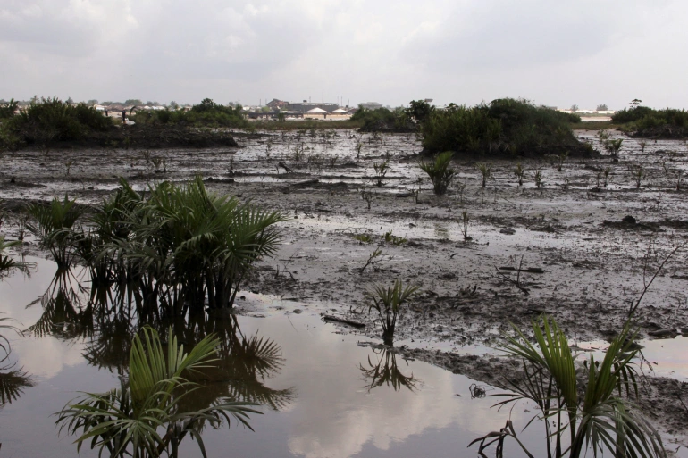 Niger Delta oil spills bring poverty, low crop yields to farmers