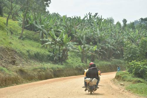 Beni : 27 personnes tuées lors de nouvelles attaques des ADF dans la région de Mabuku