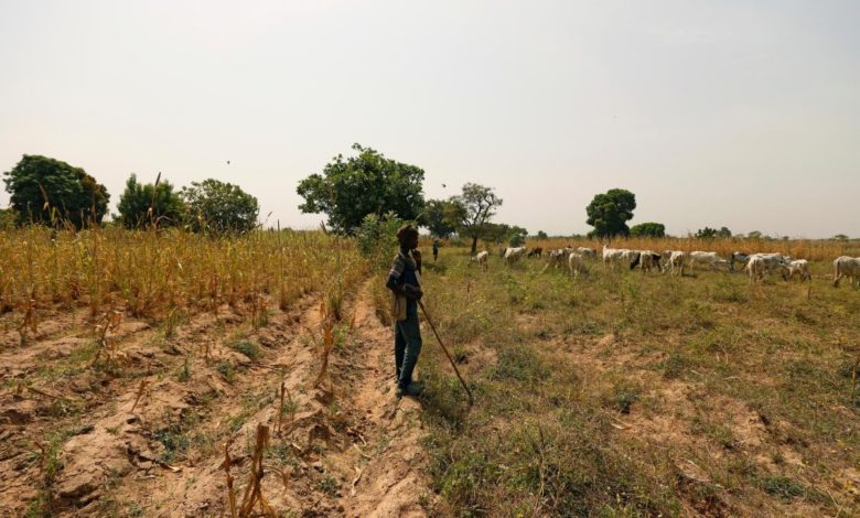 Brutal Slaying Marks Islamic State’s Entry Into Conflict Between Nigerian Farmers And Herders