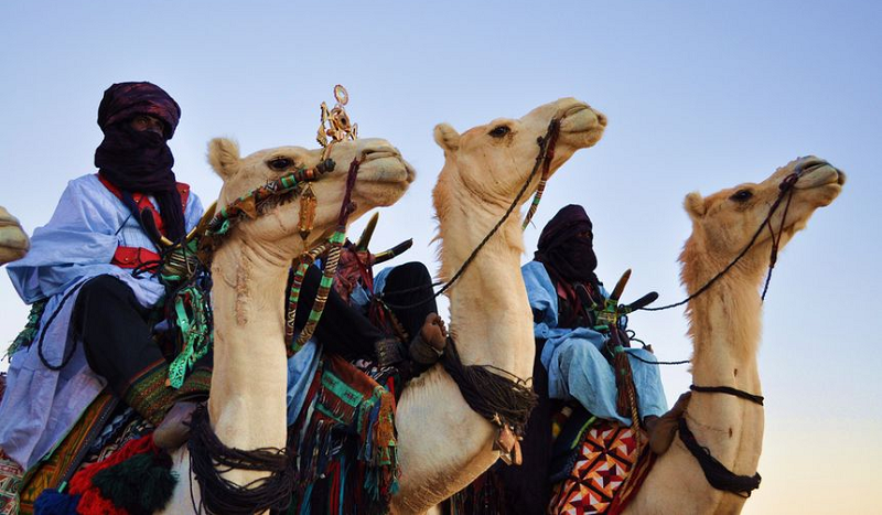 La France, Israël et les sionistes à la manœuvre en Afrique : Au Mali, au Niger au Burkina Faso et en Algérie