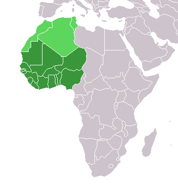 Sahel : mines d’or et terrorisme