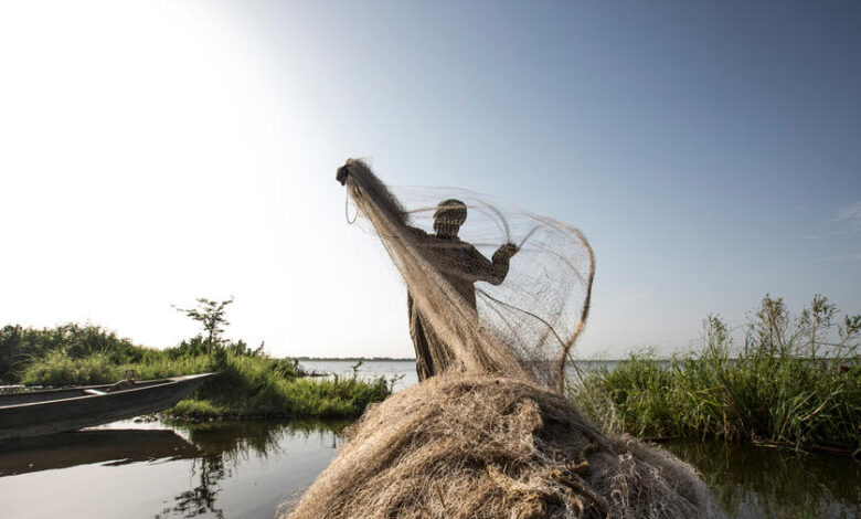 Terrorists Attack Cameroonian Fishermen For Refusing To Pay ‘Taxes’