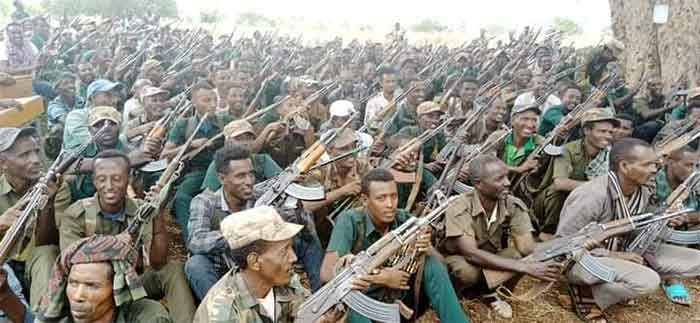 Another War Breaks Out in Northern Ethiopia, as the Threat of Disintegration Looms