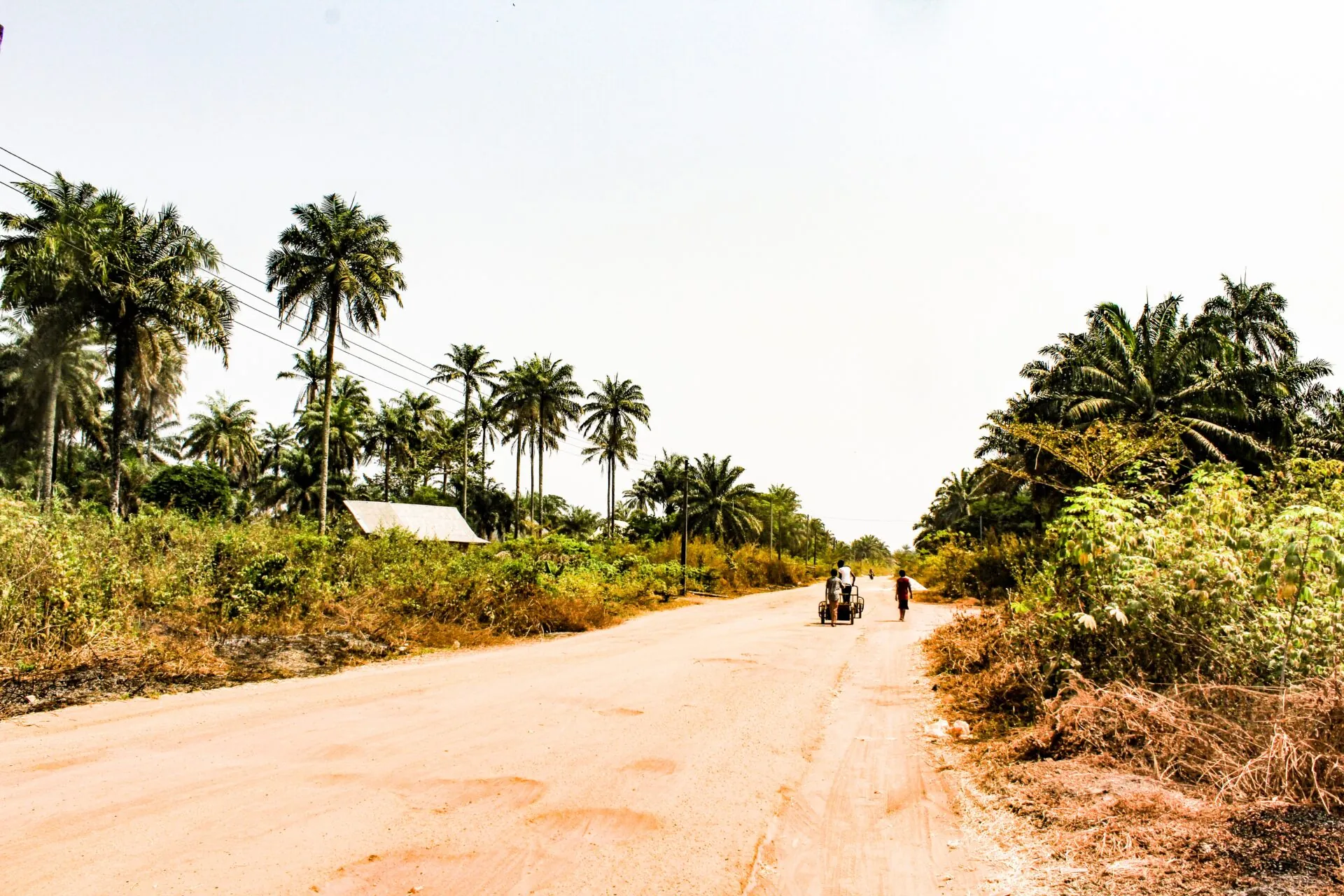 Nigeria’s Southeast Bleeds over Renewed Biafran Independence Struggle