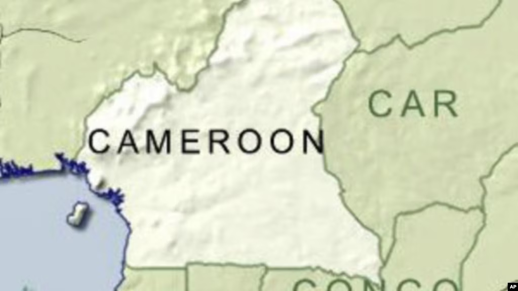 Cameroon, CAR Blame Rebels for Kidnappings