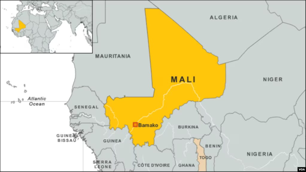 Mali Parties Angry at Junta for Postponing Presidential Vote