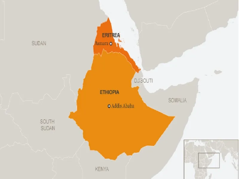 Candid Observations About Ethiopian-Eritrean Ties One Year After The Northern Conflict Ended