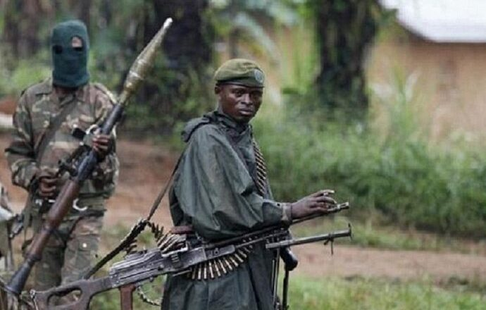 DRC: At least 12 people killed in ADF attack including four children