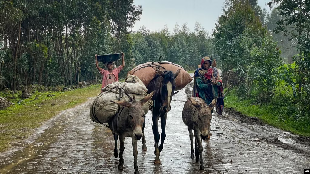 Ethiopie: “au moins 45 civils” exécutés par les forces de sécurité le 29 janvier en Amhara