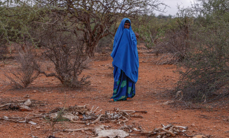 Help Not Reaching Most Victims As Droughts In Ethiopia Kill Hundreds