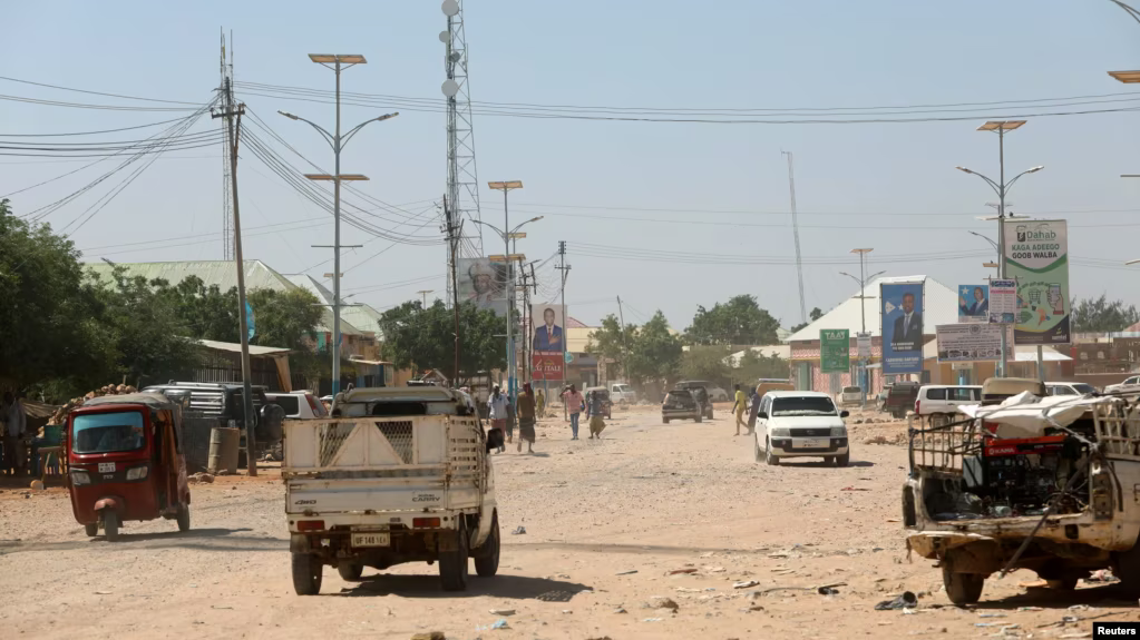 Somali Government Says at Least 80 al-Shabab Militants Killed in Attacks