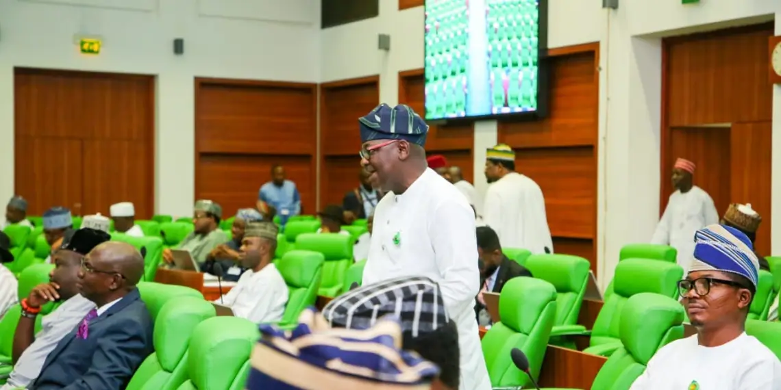 Student Loan Scheme: We must learn from US mistakes — Nigerian lawmaker