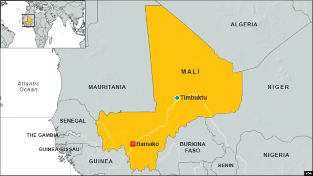 Mali opposition sets up transition government in exile