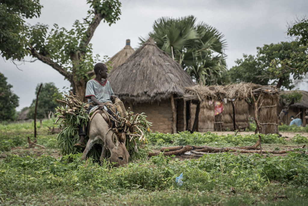 Islamic Militias in the Central African Republic