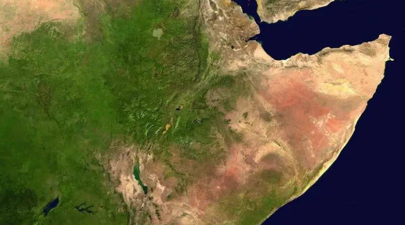 The Horn Of Africa States: President Trump’s Re-Election And The Region – OpEd