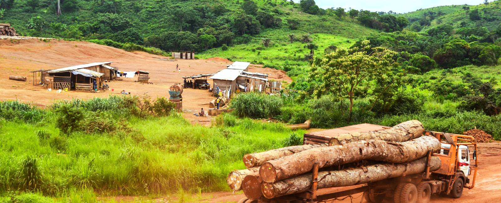 The Regional Security Imperative to Protect the Congo Basin