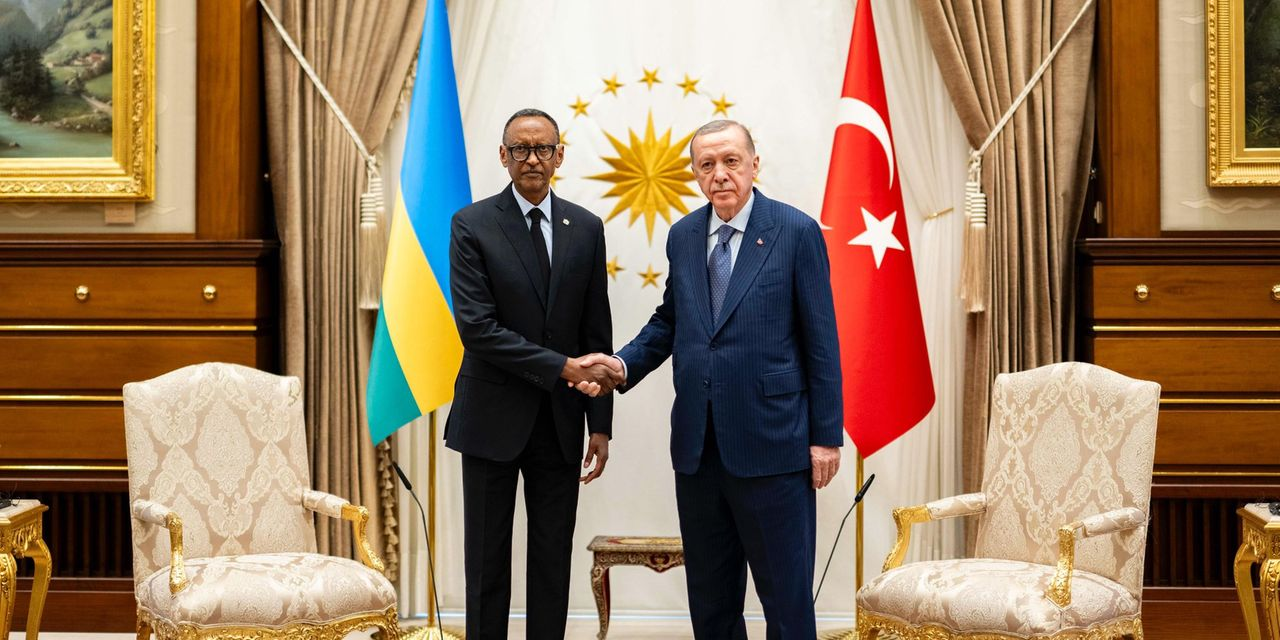 Türkiye offers to mediate Congo peace