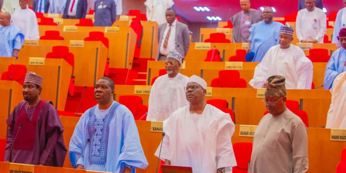 Senate probes Niger military junta’s allegations on Lakurawa militia