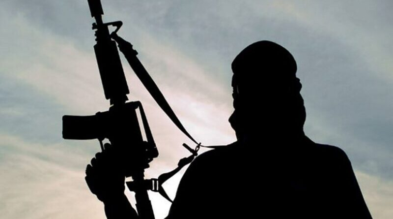 Terror Group Mahmuda Emerges In North-Central Nigeria, Wreaks Havoc