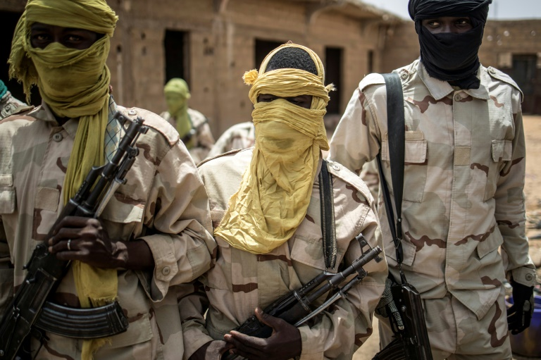 Jihadist Group Harbours Political Ambitions In Troubled Sahel