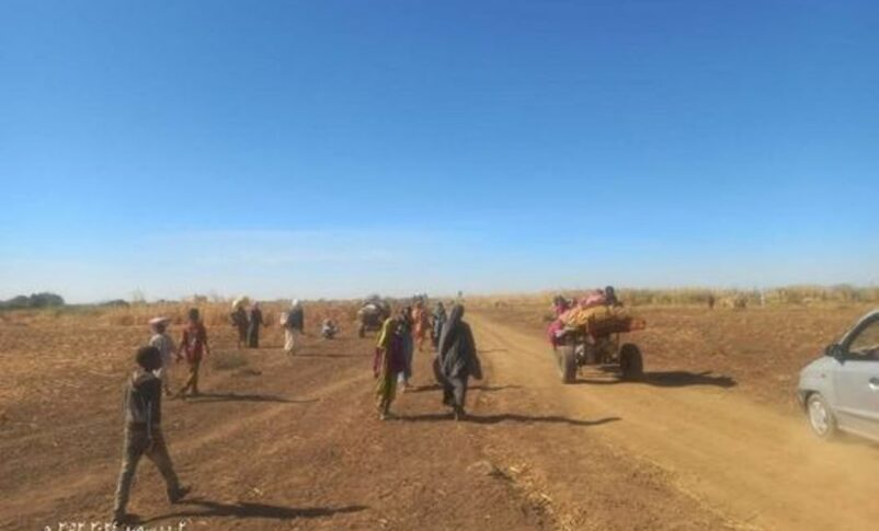Sudan’s RSF accused of fresh atrocities, ethnic cleansing in El Fasher