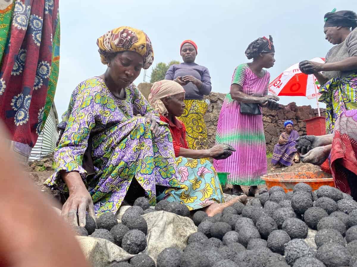 Africa’s Famed Forest Is Damaged by War, but a New Plan Could Help Restore It