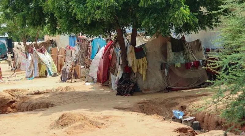 How The RSF Takeover Of El-Fasher Compounded The Suffering Of Sudan’s Children – Analysis